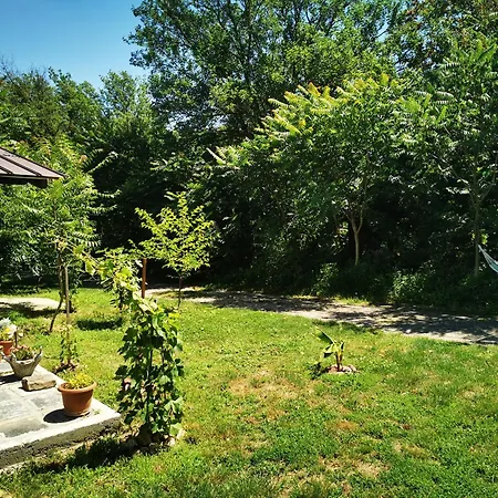 Holiday home Egyszervolt Major *