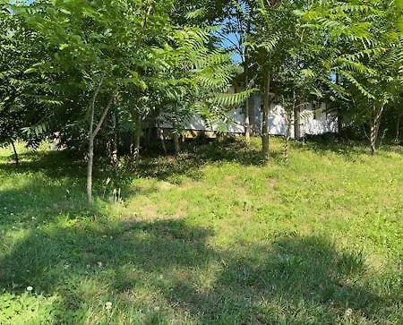 Egyszervolt Major * בלטונוסוד