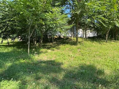 Egyszervolt Major * בלטונוסוד